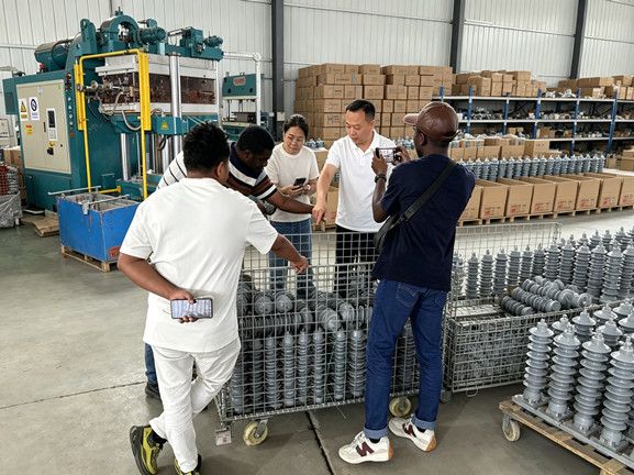 Baoding Zhe Xi Electric Power Technology Co.,LTD